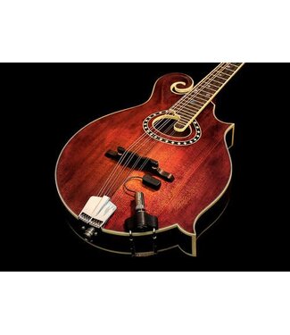 LR Baggs LR Baggs Radius Mandolin Pickup