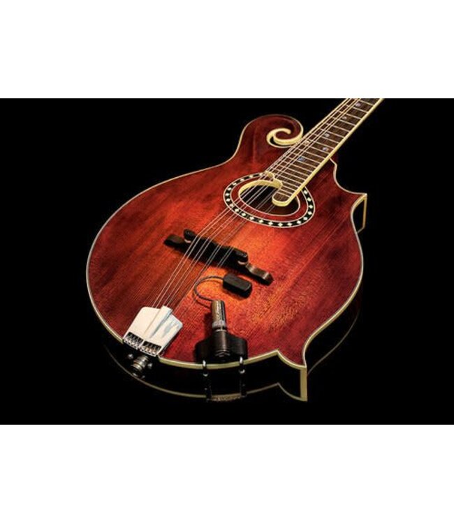 LR Baggs Radius Mandolin Pickup