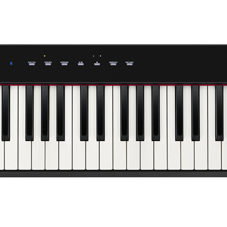 px s1000 casio