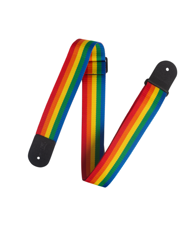 Levy’s 2" Seatbelt Poly Guitar Strap, Rainbow