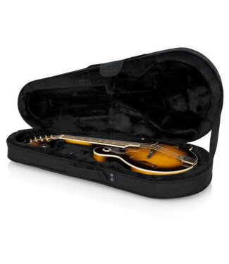 Gator Cases Gator Polyfoam Lightweight Case for Mandolins