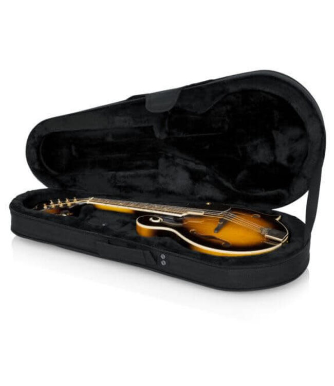 Gator Cases Polyfoam Lightweight Case for Mandolins