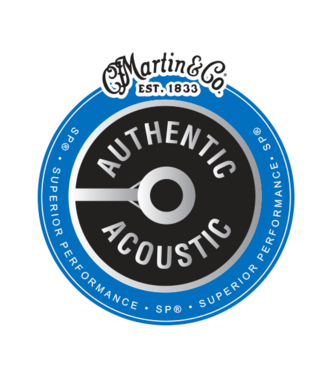 Martin Martin MA500 Authentic Phosphor Bronze 12-String Set, Extra Light