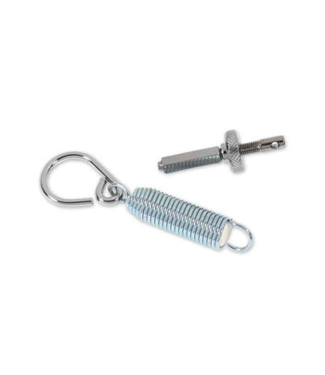 DW Standard Spring Assembly