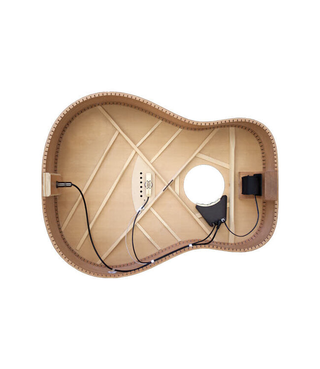 LR Baggs Anthem Acoustic Guitar Pickup