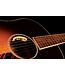 LR Baggs LR Baggs Anthem Acoustic Guitar Pickup