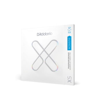 D'Addario D'Addario XSAPB1253 Acoustic Phosphor Bronze, Light, 12-53