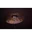 Meinl 19" Classics Custom Dark Crash
