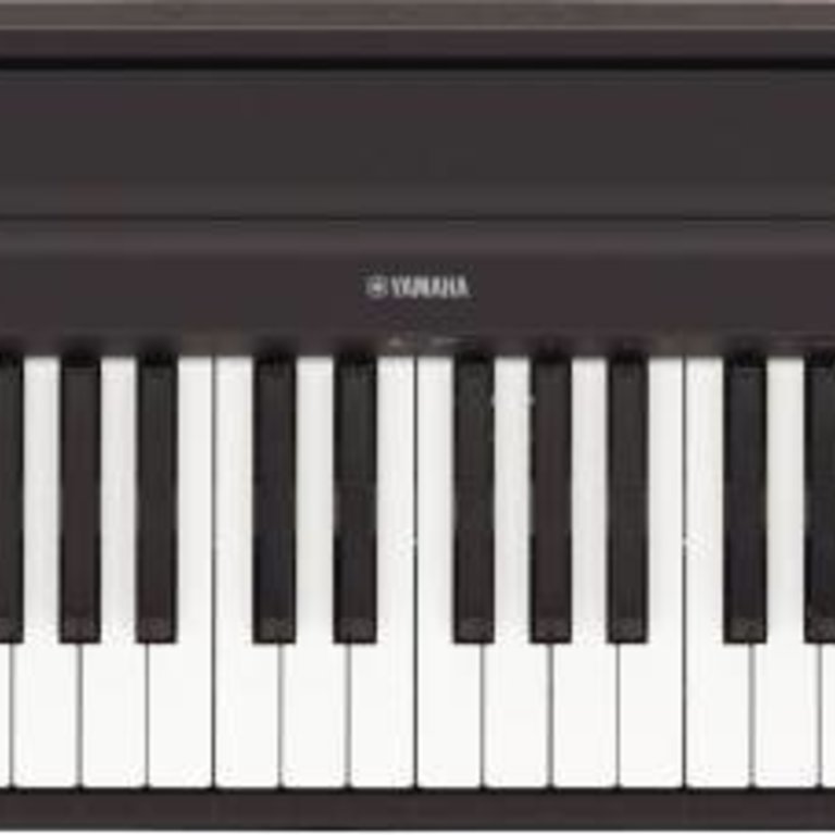 PA/Speaker/AMP ??? for Yamaha P125 : r/piano