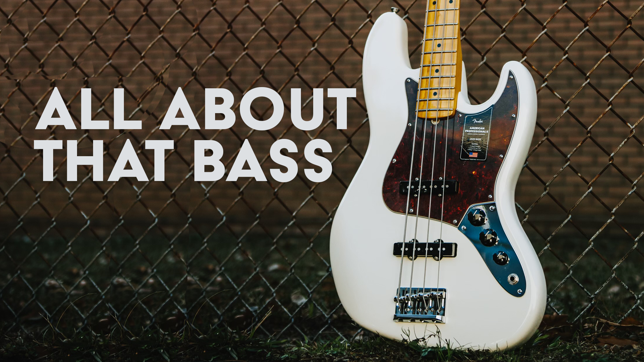 All about that bass!