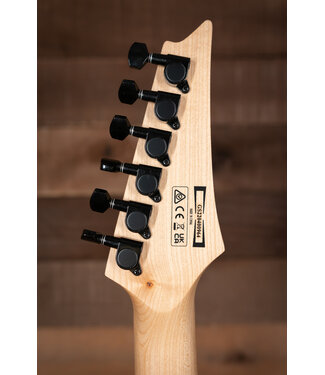 Ibanez Ibanez PGMM31 Paul Gilbert, White
