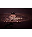 Zildjian 18" S Dark China