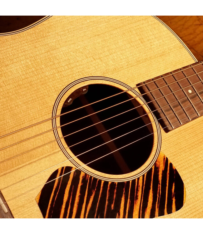 LR Baggs Element Active System with Volume and Tone Controls