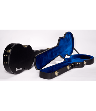 Ibanez Ibanez ASB100 Hollow Body Electric 12-String Case (AS Guitars)