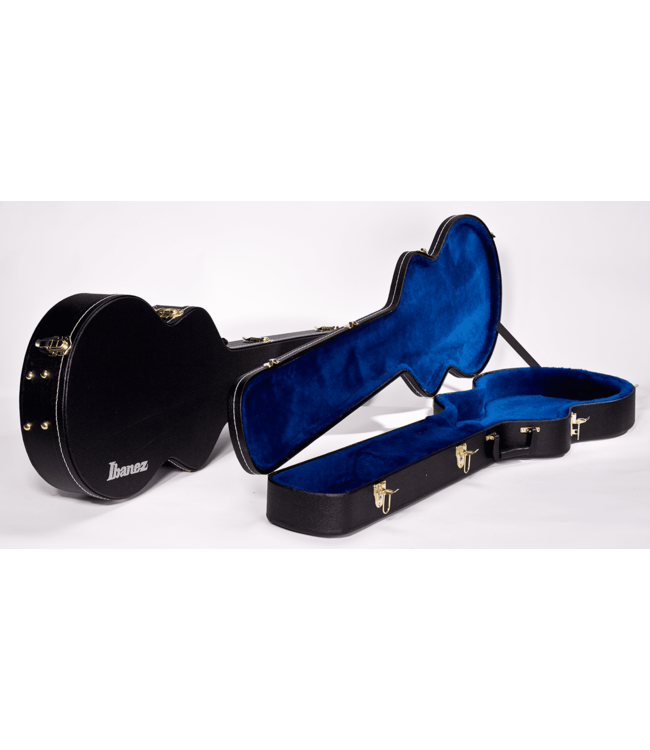 Ibanez ASB100 Hollow Body Electric 12-String Case (AS Guitars)