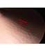 Paiste 22" 2002 Crash Cymbal