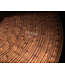 Paiste 16" 900 Crash