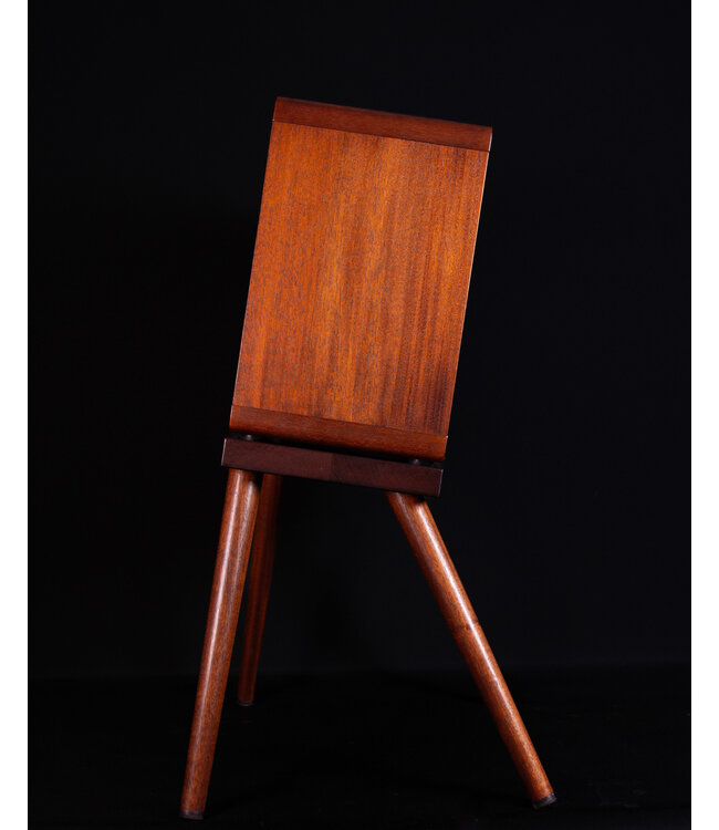 Taylor Circa 74 Acoustic Guitar and Vocal Amplifier