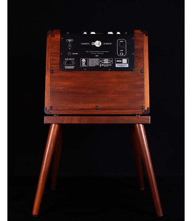 Taylor Circa 74 Acoustic Guitar and Vocal Amplifier