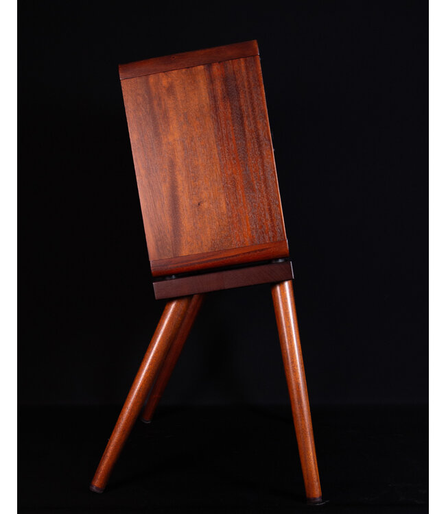 Taylor Circa 74 Acoustic Guitar and Vocal Amplifier