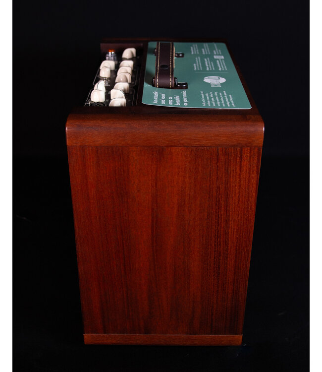 Taylor Circa 74 Acoustic Guitar and Vocal Amplifier