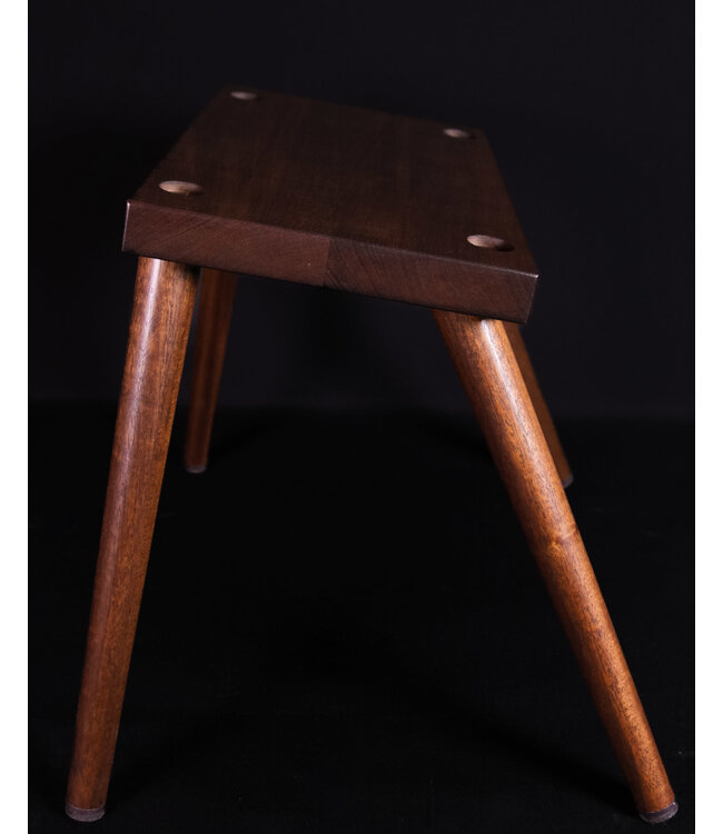 Taylor Circa 74 Acoustic Guitar and Vocal Amplifier