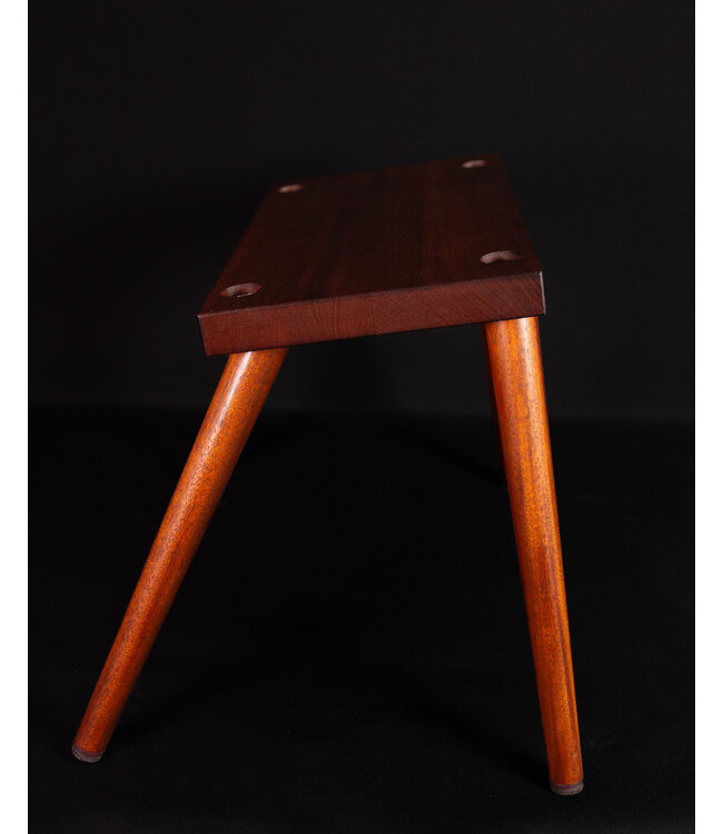 Taylor Circa 74 Acoustic Guitar and Vocal Amplifier