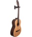 Hercules Hercules Universal AutoGrip Wall Mount Guitar Hanger, Black Wood Base, Short Arm