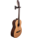 Hercules Universal AutoGrip Wall Mount Guitar Hanger, Black Wood Base, Short Arm