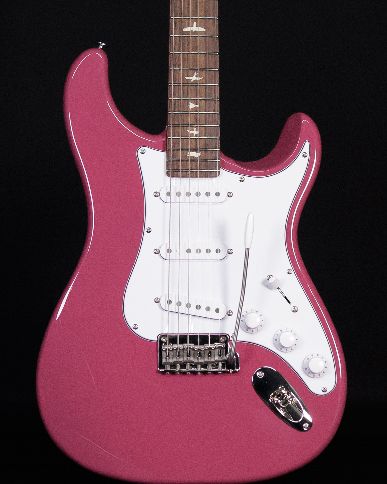 PRS SE Silver Sky Dragon Fruit – Motor City Guitar