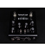 Strymon Iridium Amp & IR Cab