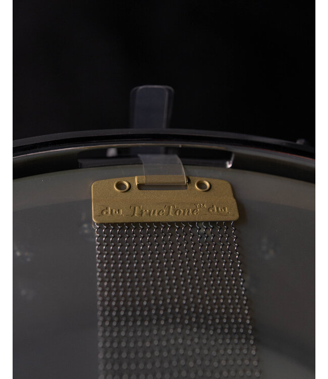 DW 14" x 5.5" Performance Series Thin Brass Snare