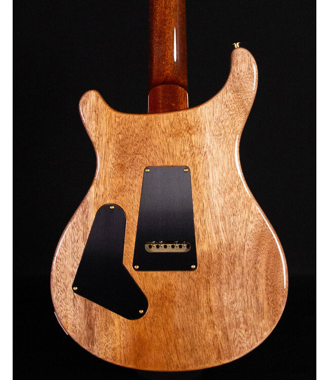 PRS Custom 24 Ten Top, Carroll Blue