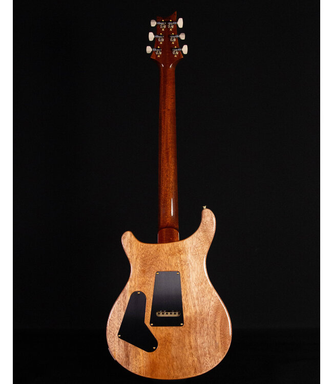 PRS Custom 24 Ten Top, Carroll Blue