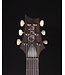 PRS PRS Custom 24 Ten Top, Carroll Blue