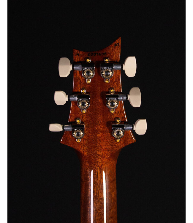 PRS Custom 24 Ten Top, Carroll Blue