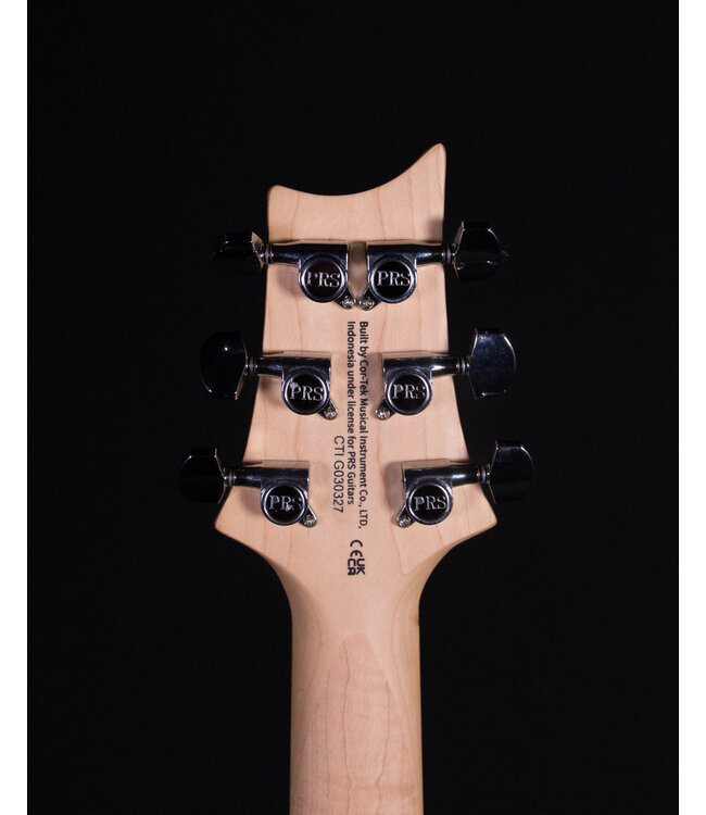 PRS SE Swamp Ash Special, Charcoal