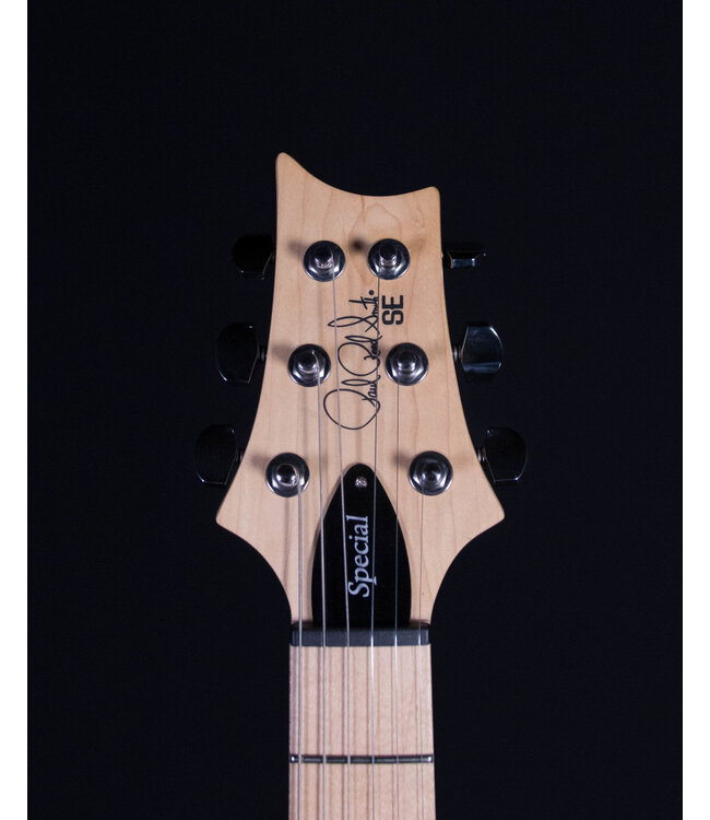 PRS SE Swamp Ash Special, Charcoal