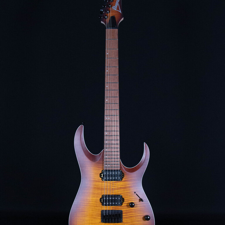 Ibanez RGA42, Flame Maple, Dragon Eye Burst - Sims Music