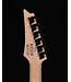 Ibanez Ibanez RGA42FM Flame Maple Top Electric, Dragon Eye Flat