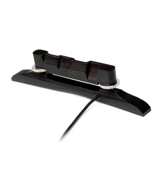 Fishman Fishman  Nashville Series M-300 Archtop Mandolin Pickup