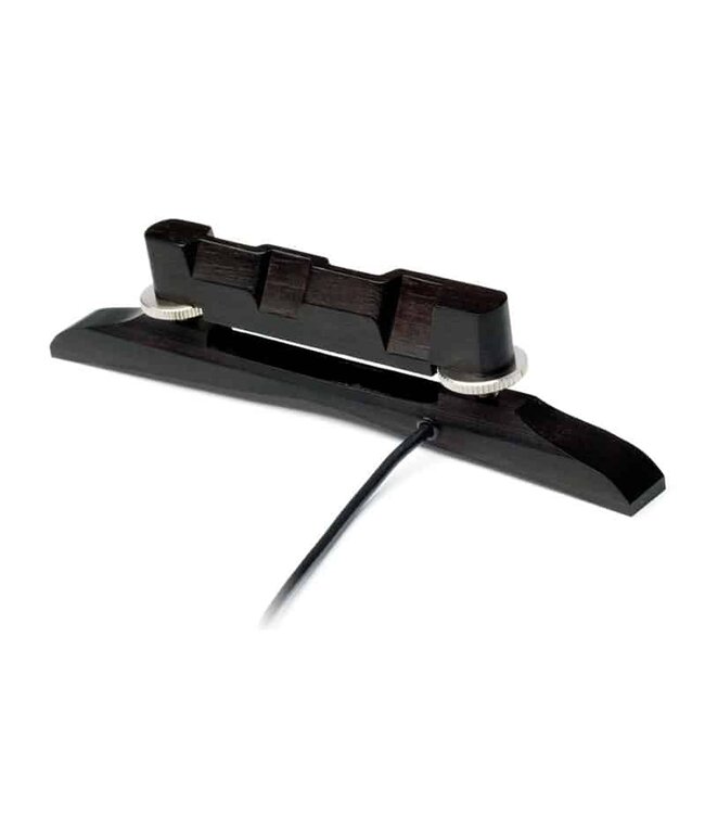 Fishman  Nashville Series M-300 Archtop Mandolin Pickup