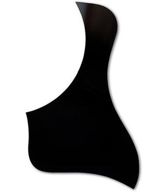 Taylor Taylor GS Mini Black Pickguard