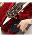 D'Addario Humidipak Automatic Humidity Control System (for guitar)