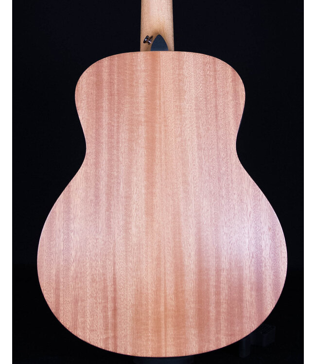 Taylor GS Mini-e Special Edition, Trans White