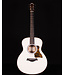 Taylor GS Mini-e Special Edition, Trans White