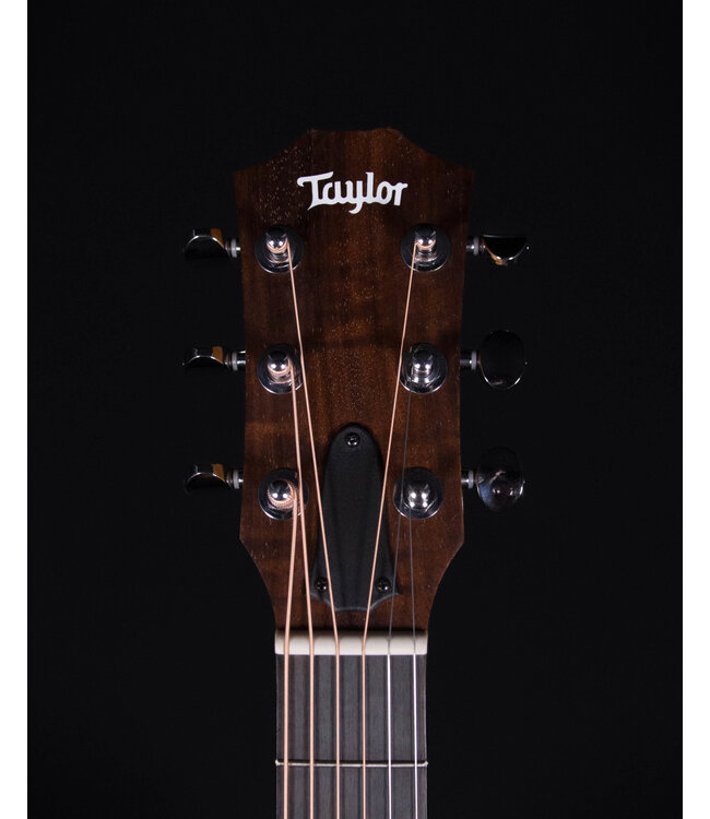 Taylor GS Mini-e Special Edition, Trans White