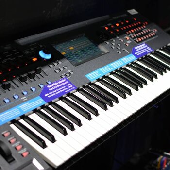 Synths & Workstations