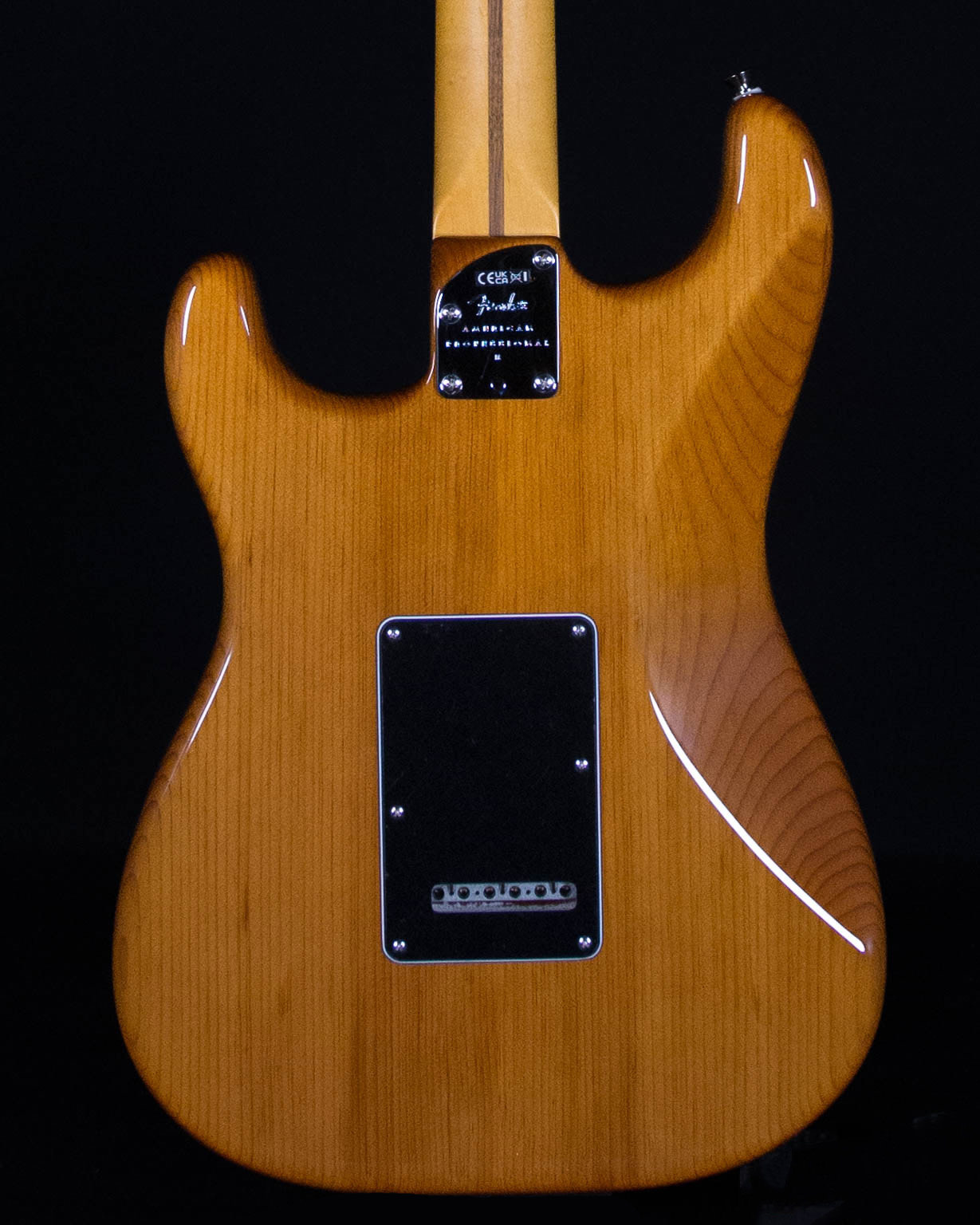 Fender American Professional II Stratocaster®, Rosewood Fender American Professional II Stratocaster®, Rosewood