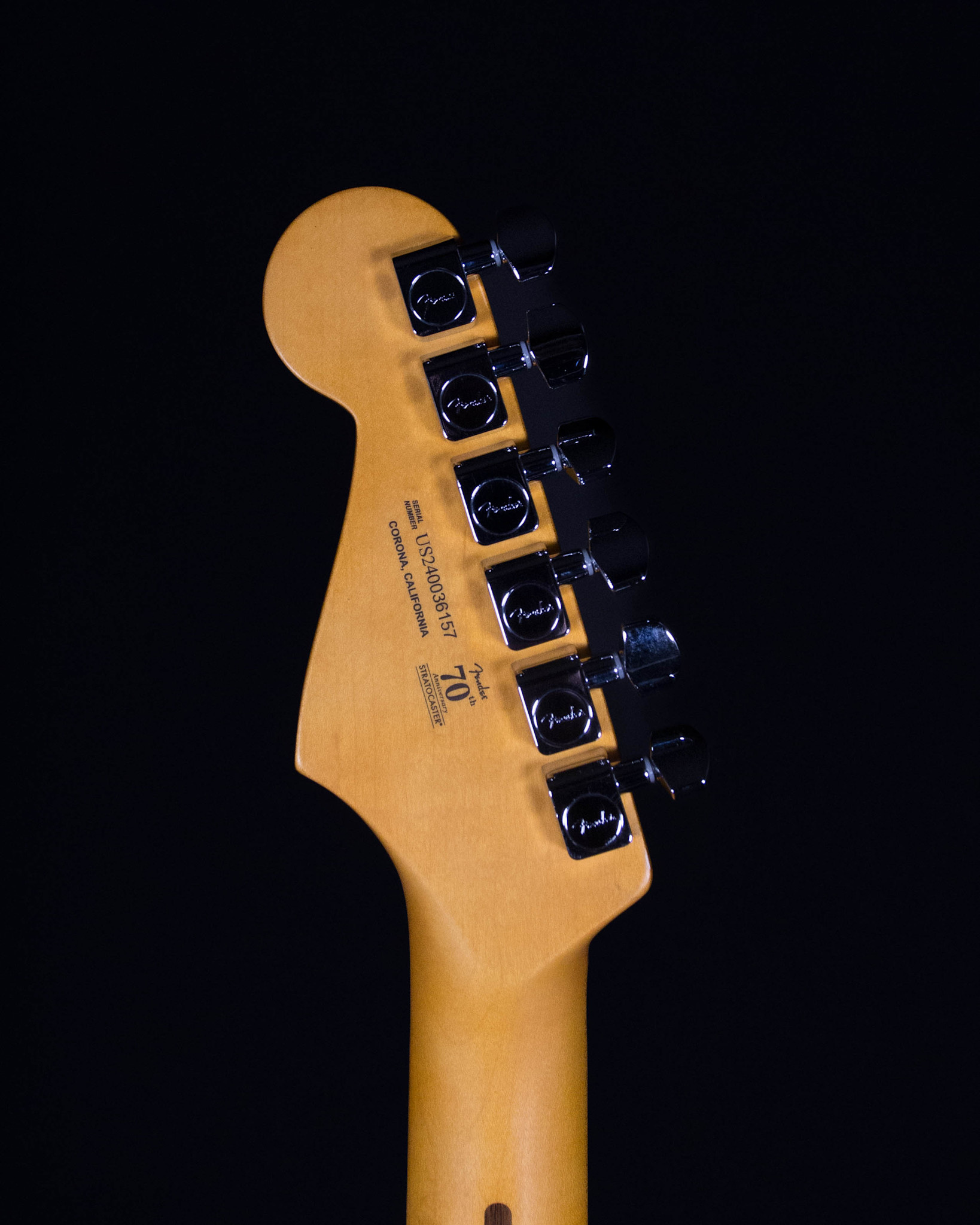 Fender American Professional II Stratocaster®, Rosewood Fender American Professional II Stratocaster®, Rosewood